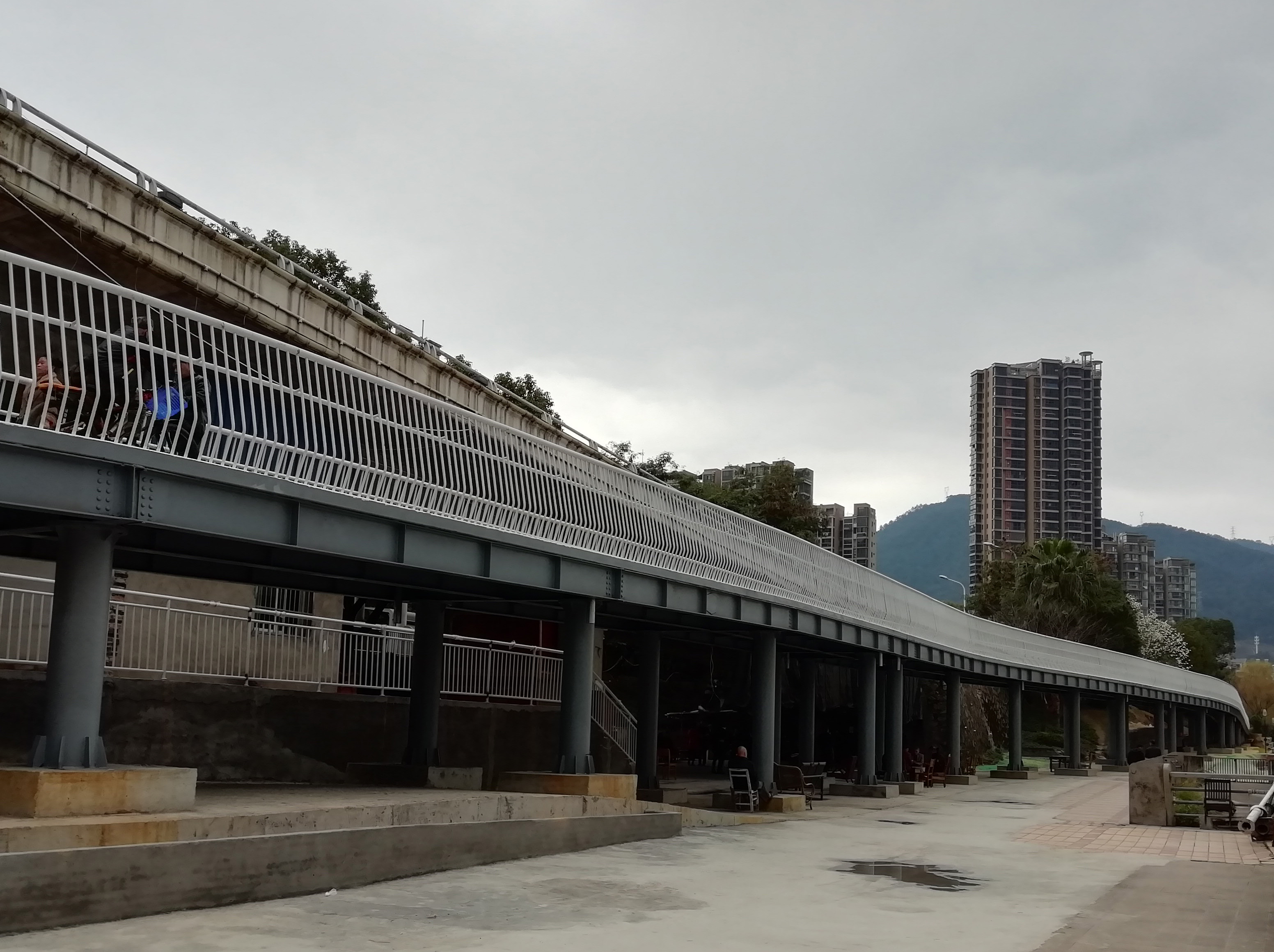 眉山市自行车路（西岸）.jpg